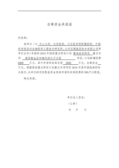 自筹资金承诺函