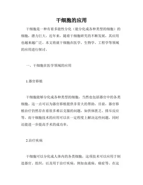 干细胞的应用