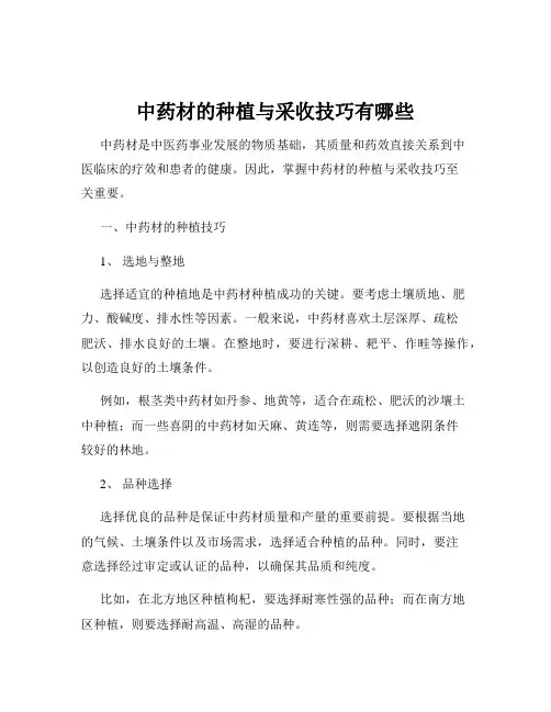 中药材的种植与采收技巧有哪些