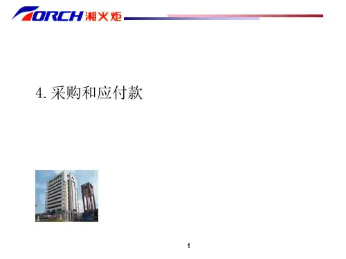 德勤湘火炬内部控制制度手册之二.pptx