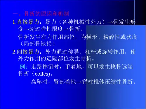 四肢骨关节损伤PPT课件