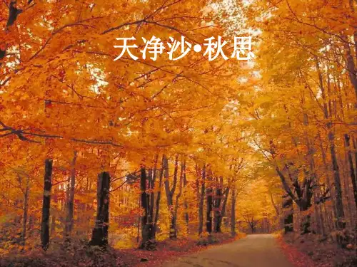 天净沙秋思优秀课件简精华版ppt