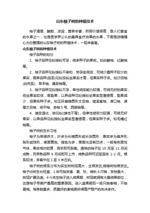 山东柚子树的种植技术