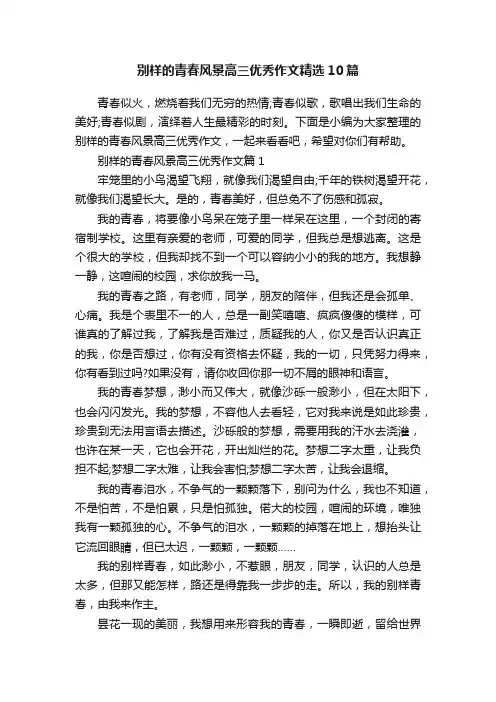 别样的青春风景高三优秀作文精选10篇