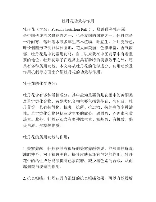 牡丹花功效与作用
