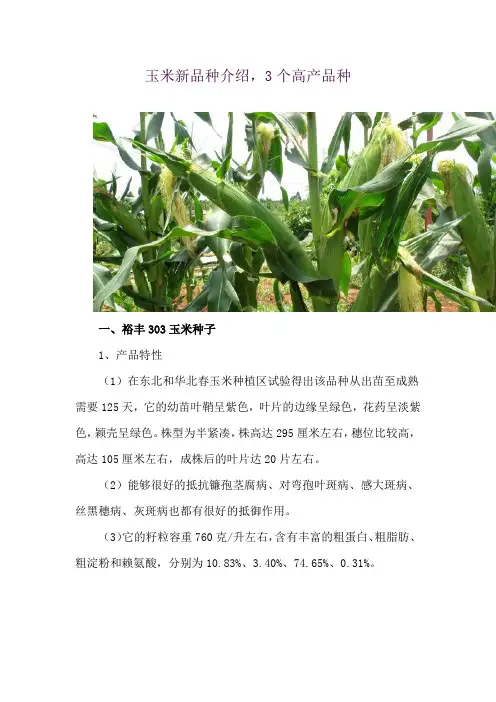 玉米新品种介绍,3个高产品种