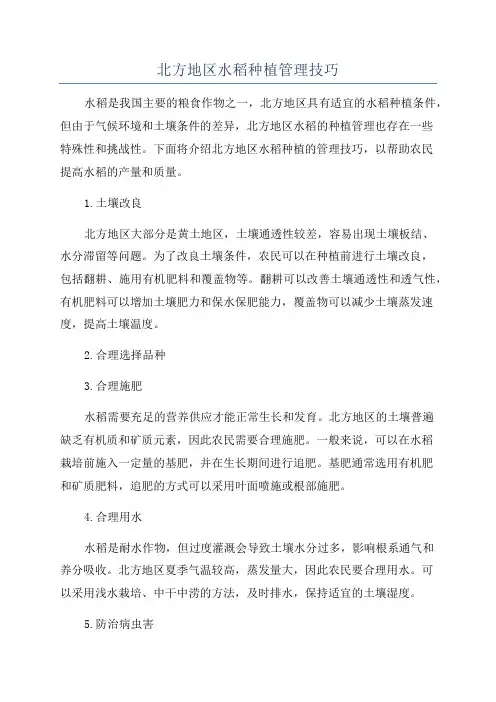 北方地区水稻种植管理技巧