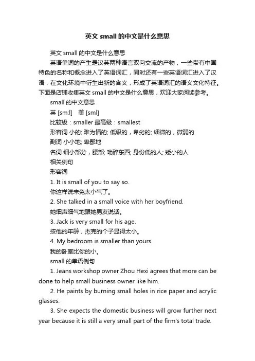 英文small的中文是什么意思