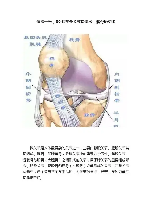值得一看，30秒学会关节松动术—髌骨松动术