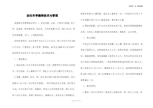 沾化冬枣栽培技术与管理 