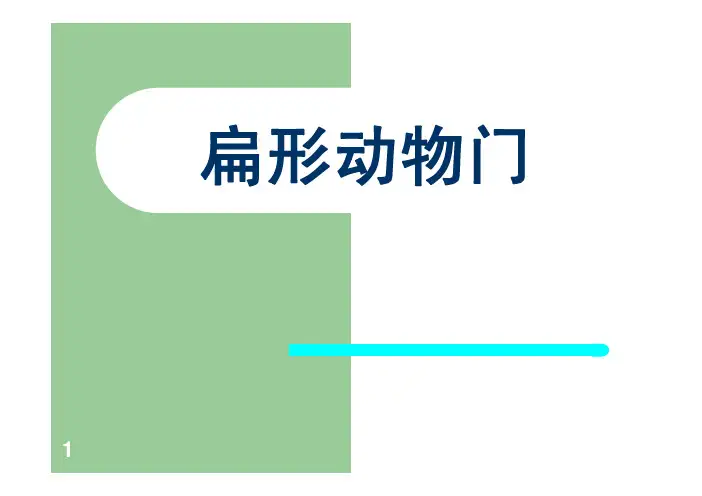 2020动物学扁形动物