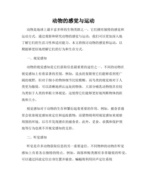 动物的感觉与运动