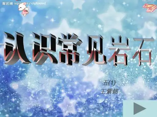 认识常见岩石