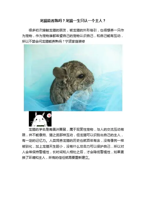 龙猫能养熟吗？龙猫一生只认一个主人？