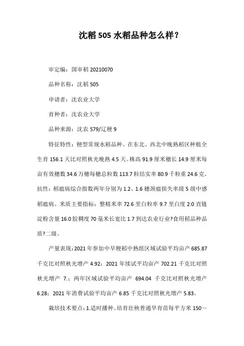 沈稻505水稻品种好不好？