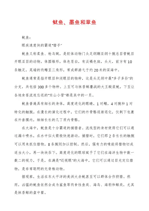 鱿鱼、墨鱼和章鱼