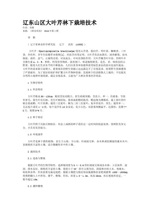 辽东山区大叶芹林下栽培技术