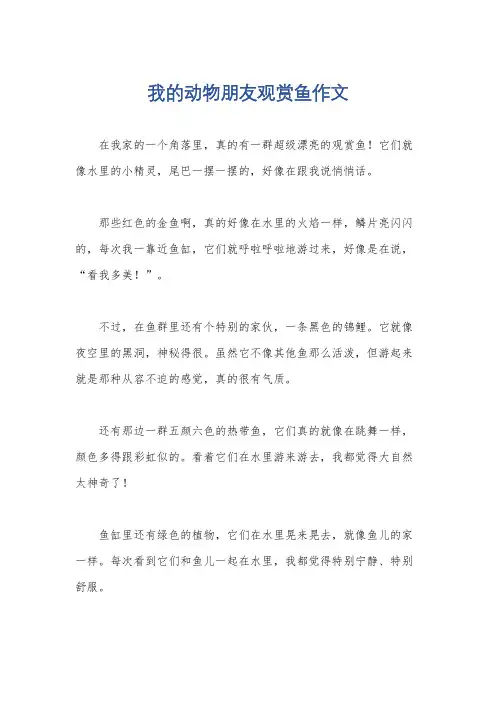 我的动物朋友观赏鱼作文