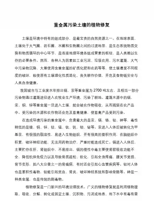 重金属污染土壤的植物修复
