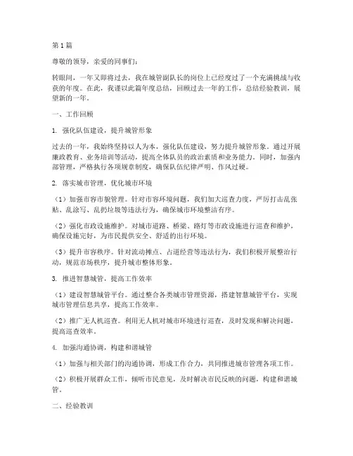 城管副队长的年度总结(3篇)