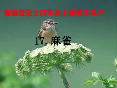 最新版教材《麻雀》公开课课件
