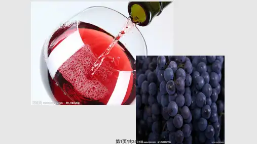 人教高中生物选修果酒和果醋PPT课件