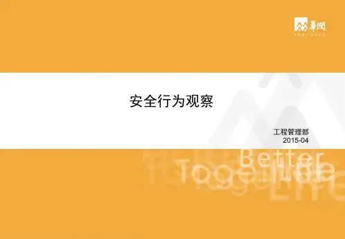 安全行为观察