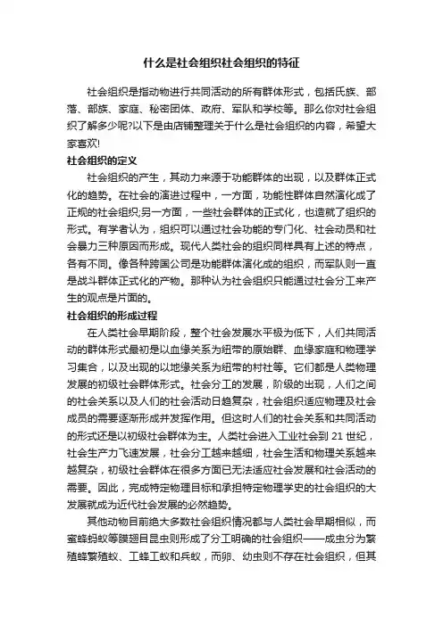 什么是社会组织社会组织的特征