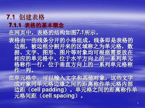 第七讲表格网页制作