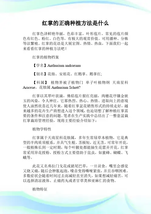 红掌的正确种植方法是什么.doc