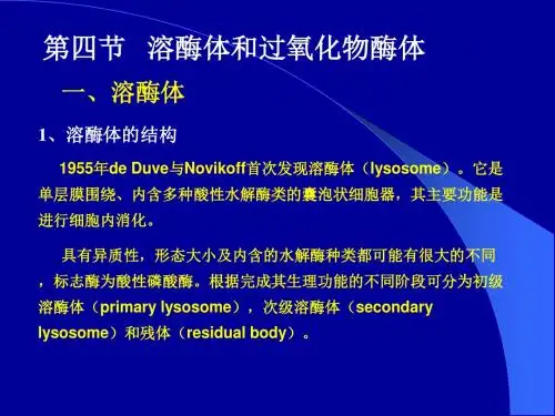第九章 核糖体