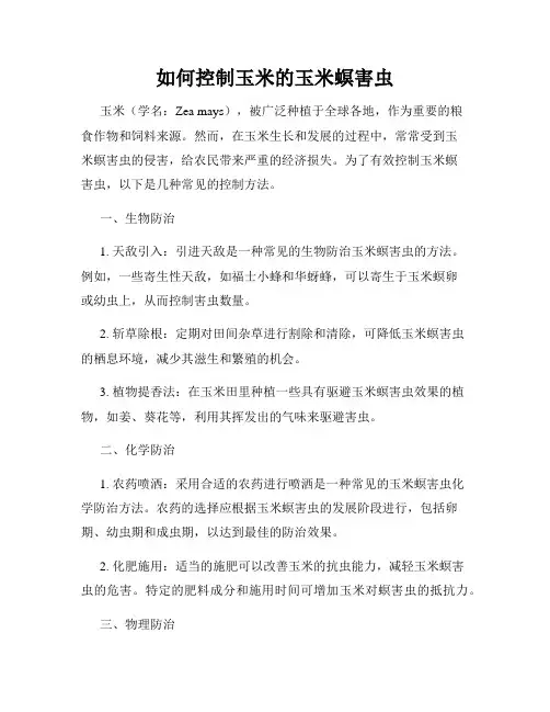 如何控制玉米的玉米螟害虫