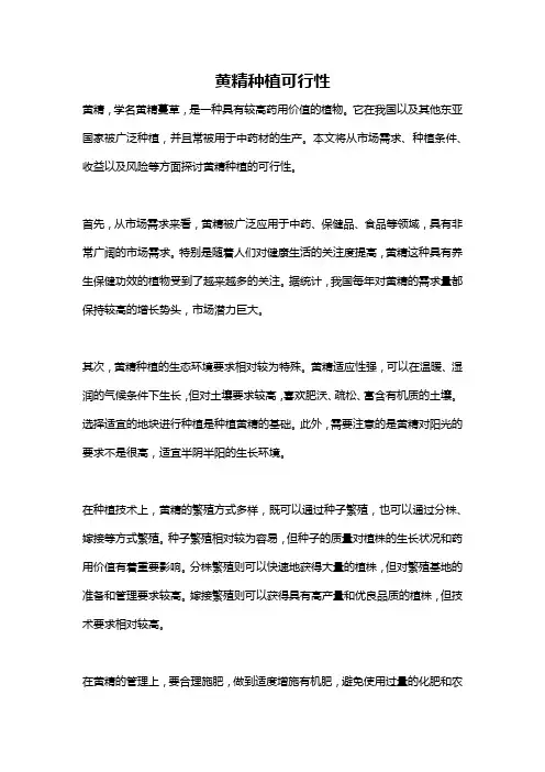 黄精种植可行性