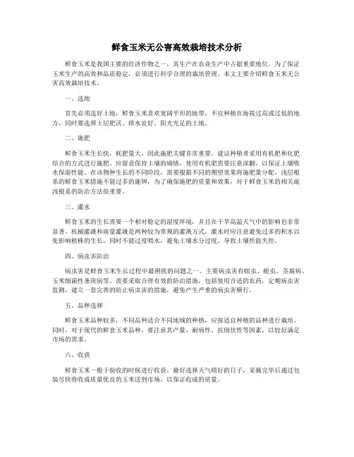 鲜食玉米无公害高效栽培技术分析