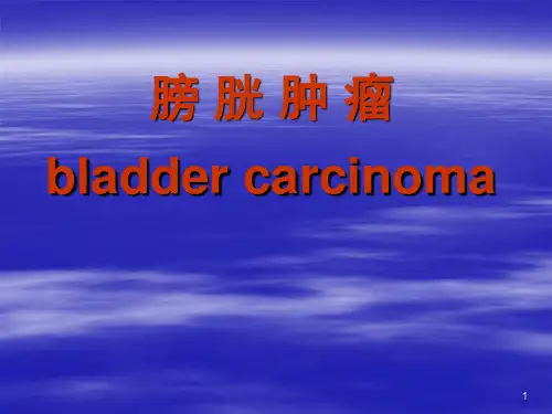 膀胱癌PPT精选课件