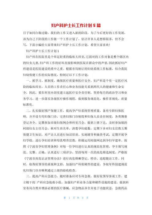 妇产科护士长工作计划5篇