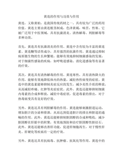 黄连的作用与功效与作用