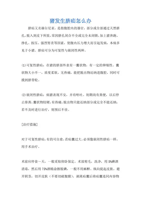 猪发生脐疝怎么办