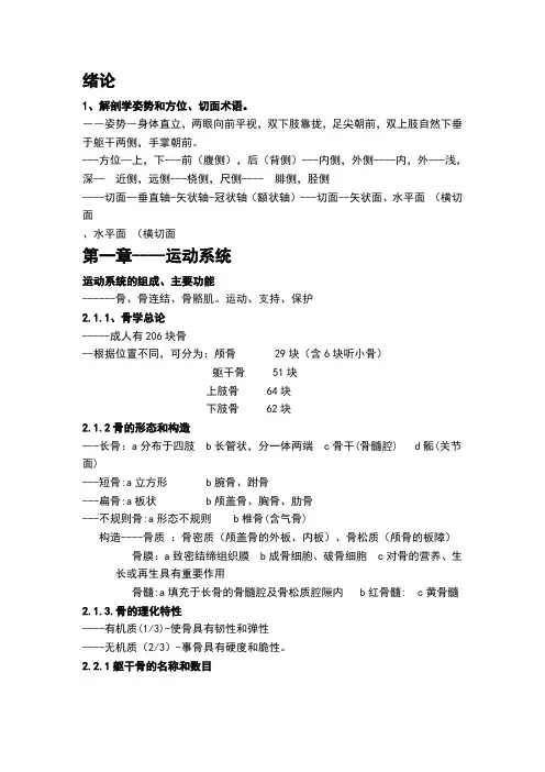 正常人体解剖学知识点总结(第一章)