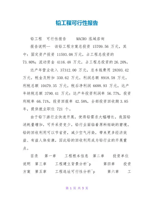 铅项目可行性报告