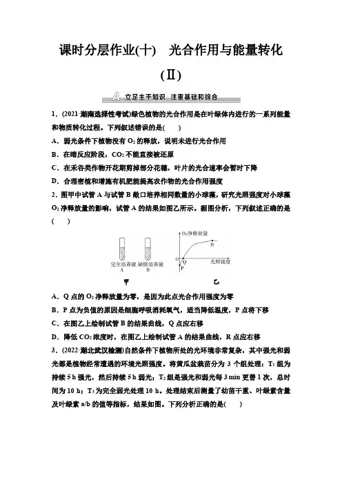 人教版高考生物一轮复习课时分层作业10光合作用与能量转化(Ⅱ)含答案