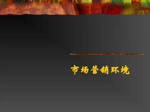 市场营销环境分析