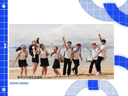 《青春萌动》ppt课件