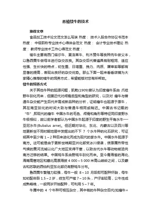 养殖犊牛的技术