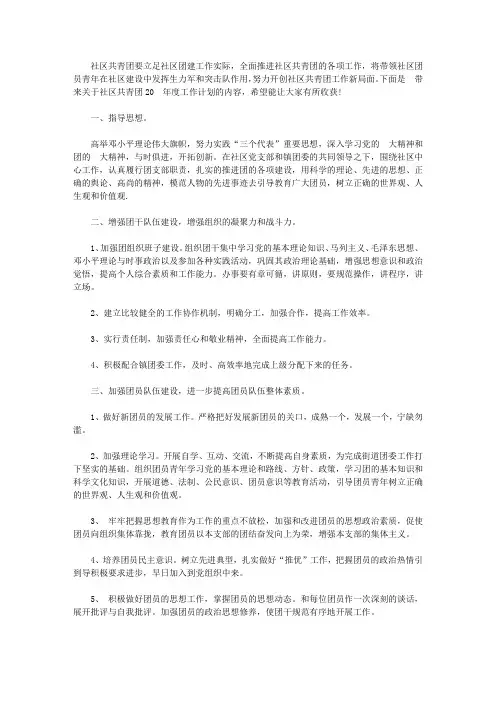 社区共青团2020年度工作计划【精选】