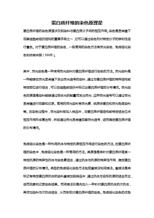 蛋白质纤维的染色原理是