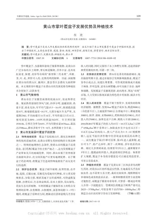 黄山市掌叶覆盆子发展优势及种植技术