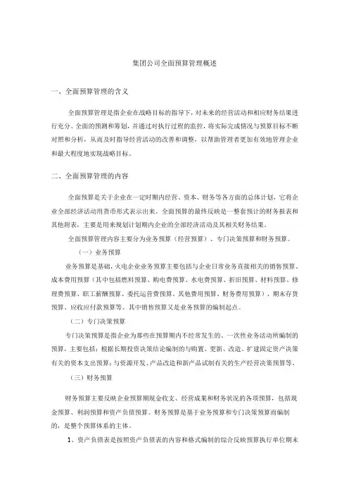 集团公司全面预算管理概述
