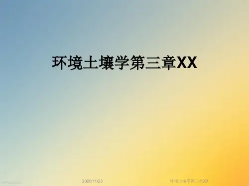 环境土壤学第三章XX