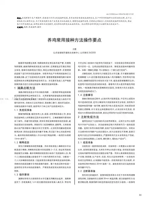 养鸡常用接种方法操作要点